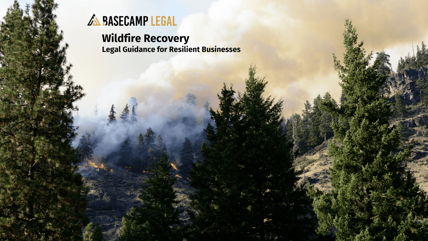 Screenshot 2025-11-12 at 8.50.18 PM