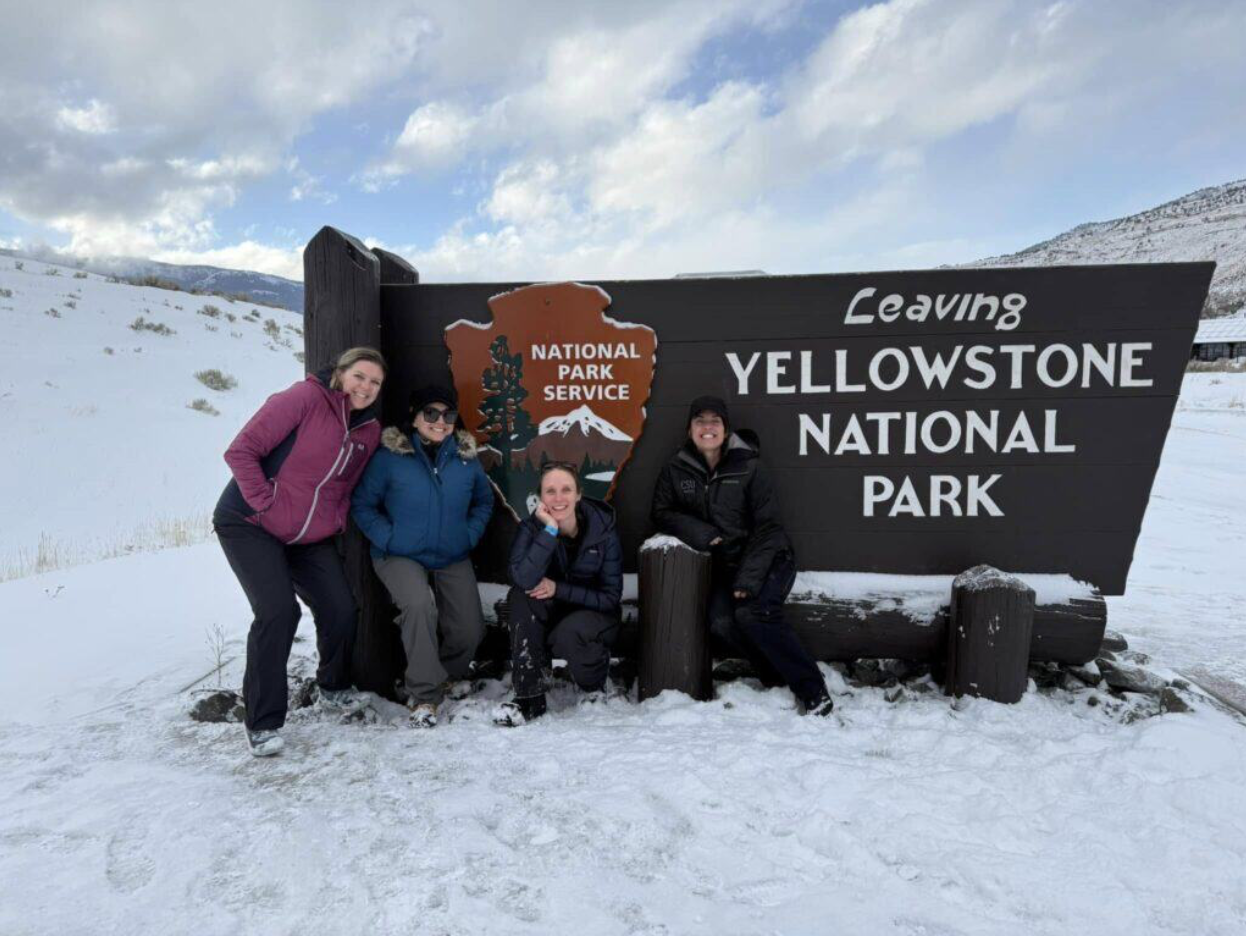 Screenshot 2025-11-12 at 8.56.52 PM