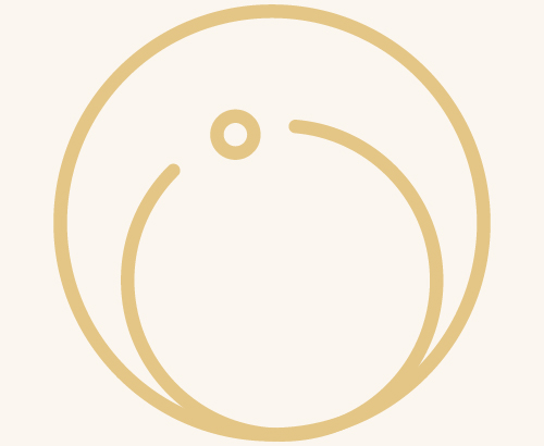 basecamp-legal-practice-areas-icons-02